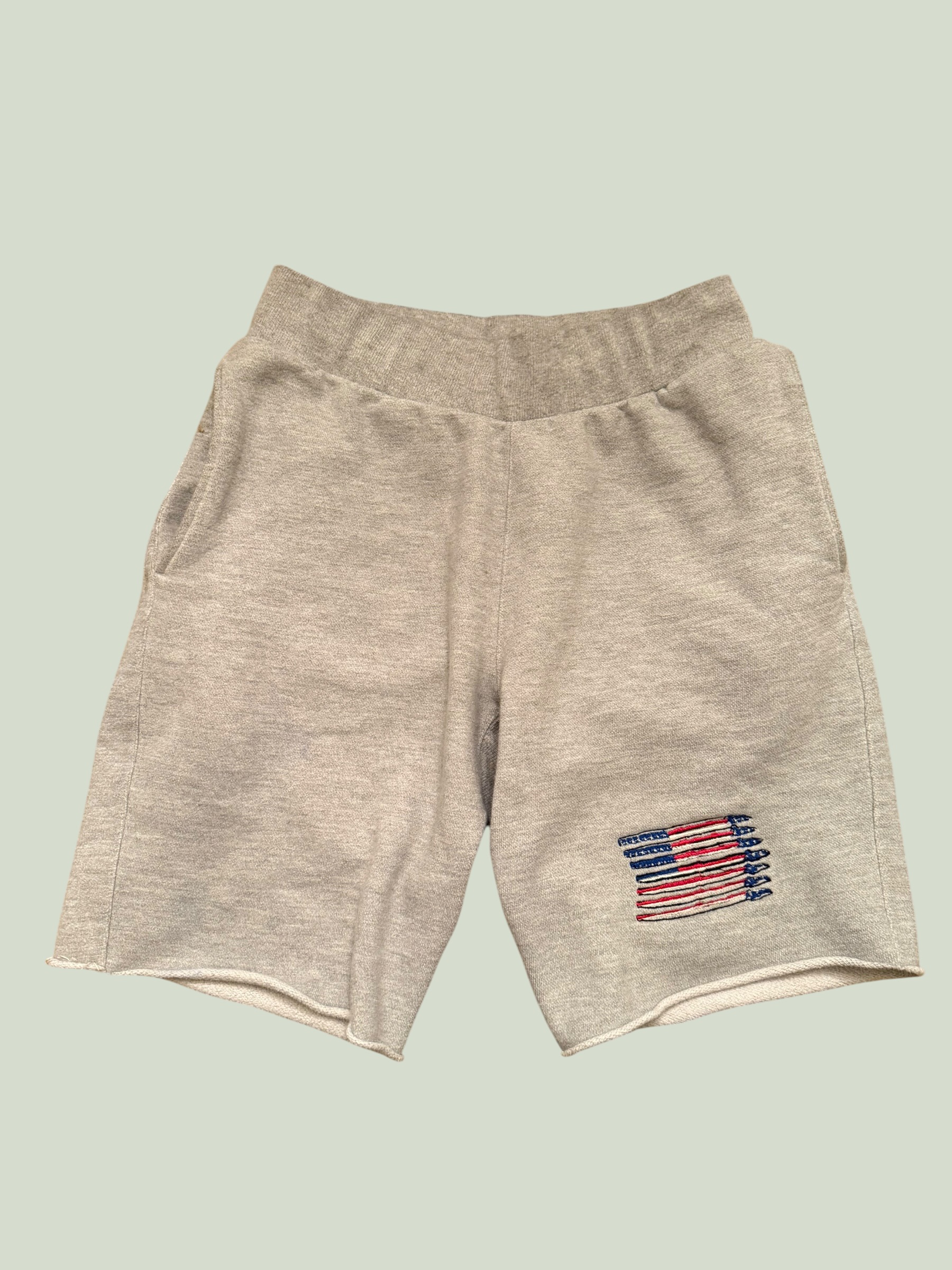 Champion USA Flyover embroidered sweat shorts, multiple angles